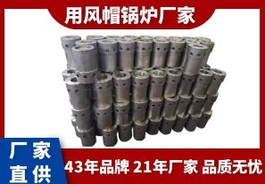 用风帽锅炉厂家-质优的品质从品牌入手[江河]